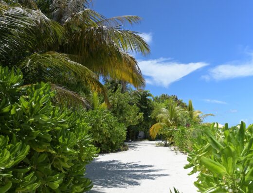 Drift Thelu Veliga Retreat