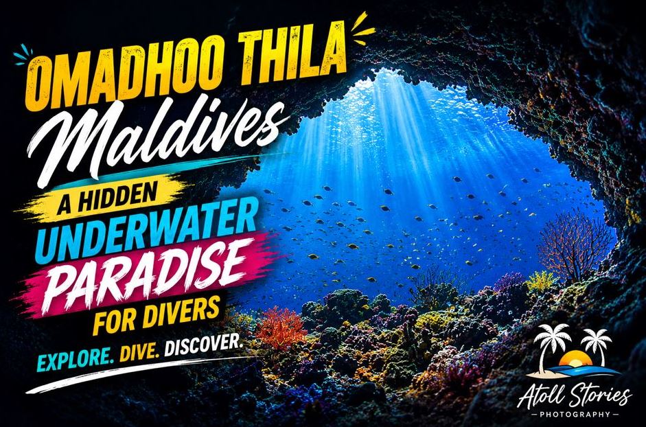 Omadhoo Thila Maldives: A Hidden Underwater Paradise for Divers