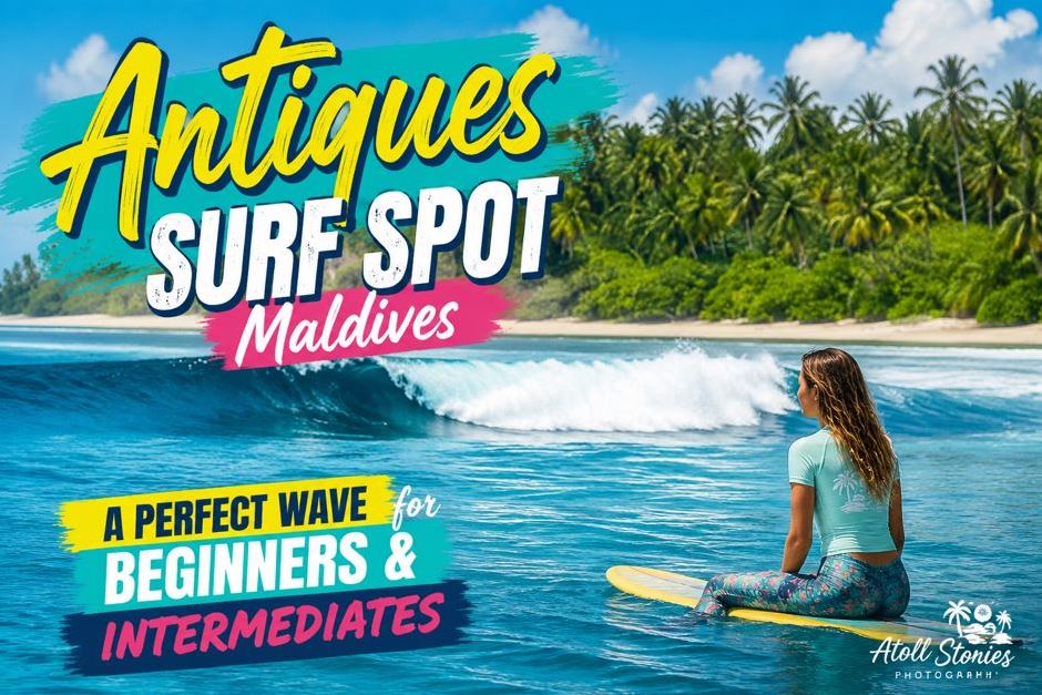 Antiques Surf Spot Maldives: A Perfect Wave for Beginners and Intermediates