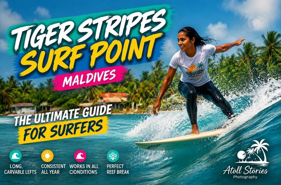 Tiger Stripes Surf Point Maldives: The Ultimate Guide for Surfers