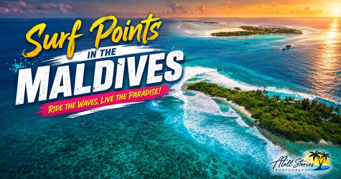 Surf Points in the Maldives