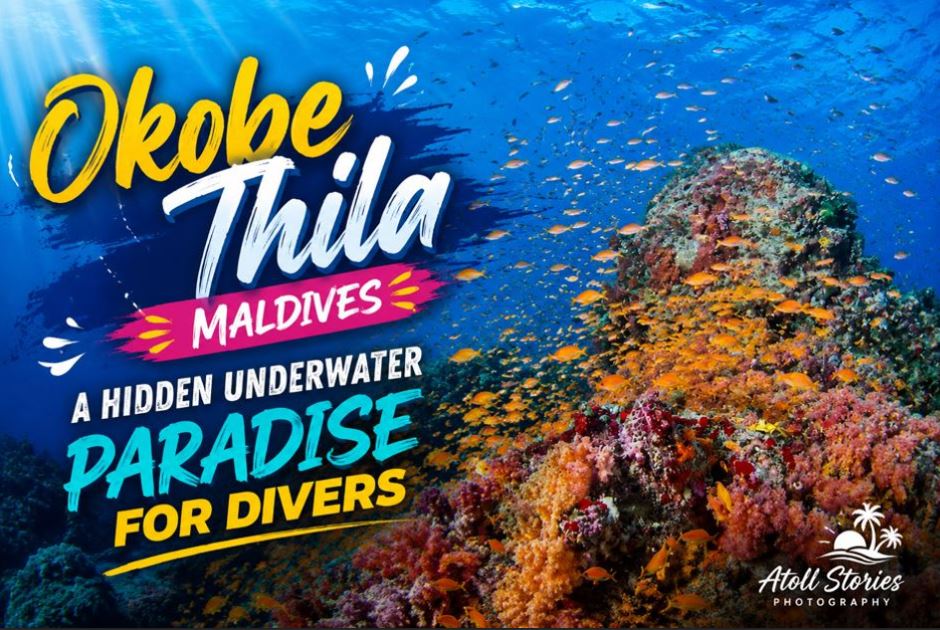 Okobe Thila Maldives: A Hidden Underwater Paradise for Divers