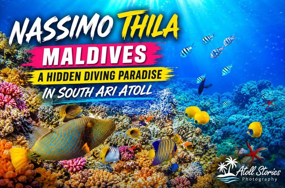 Nassimo Thila Maldives: A Hidden Diving Paradise in South Ari Atoll