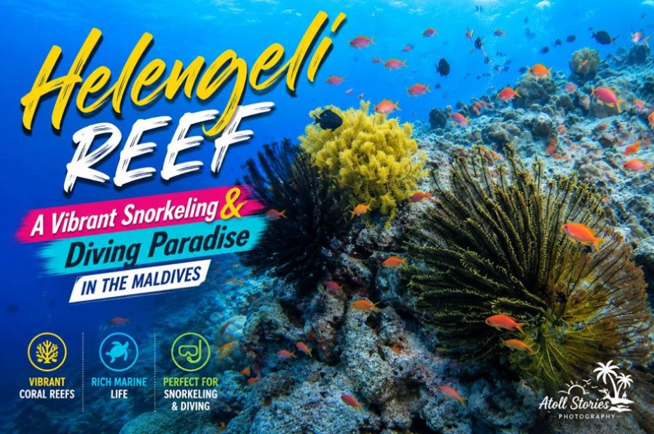 Helengeli House Reef: A Vibrant Snorkeling and Diving Paradise in the Maldives