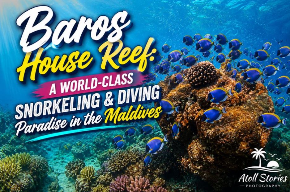 Baros House Reef: A World-Class Snorkeling and Diving Paradise in the Maldives