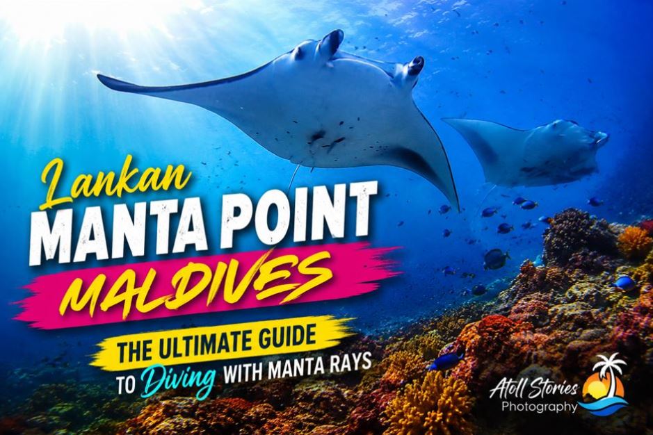 Lankan Manta Point Maldives: The Ultimate Guide to Diving With Manta Rays