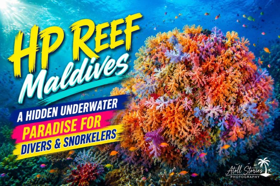 HP Reef Maldives: A Hidden Underwater Paradise for Divers and Snorkelers
