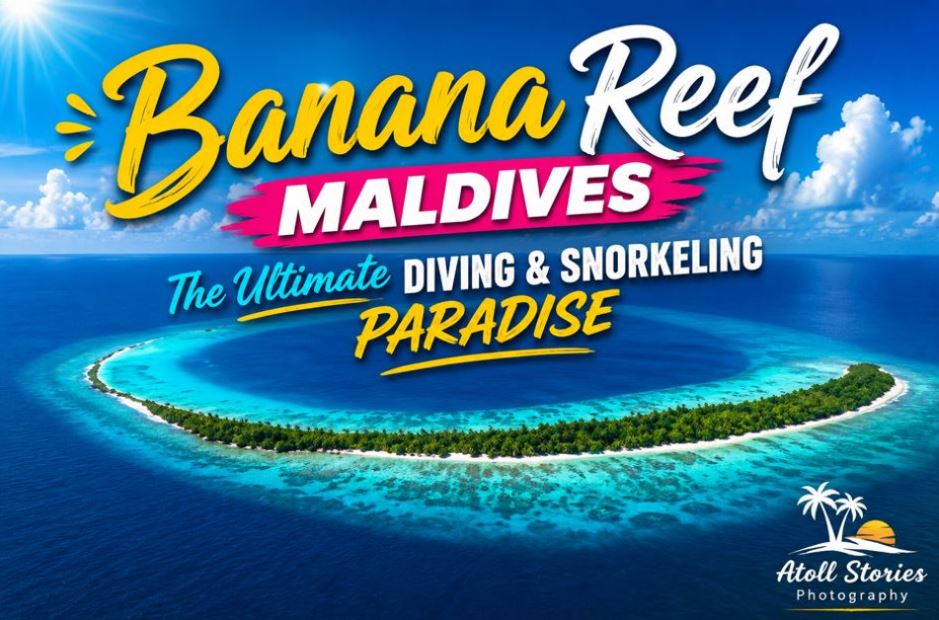 Banana Reef: The Ultimate Diving and Snorkeling Paradise