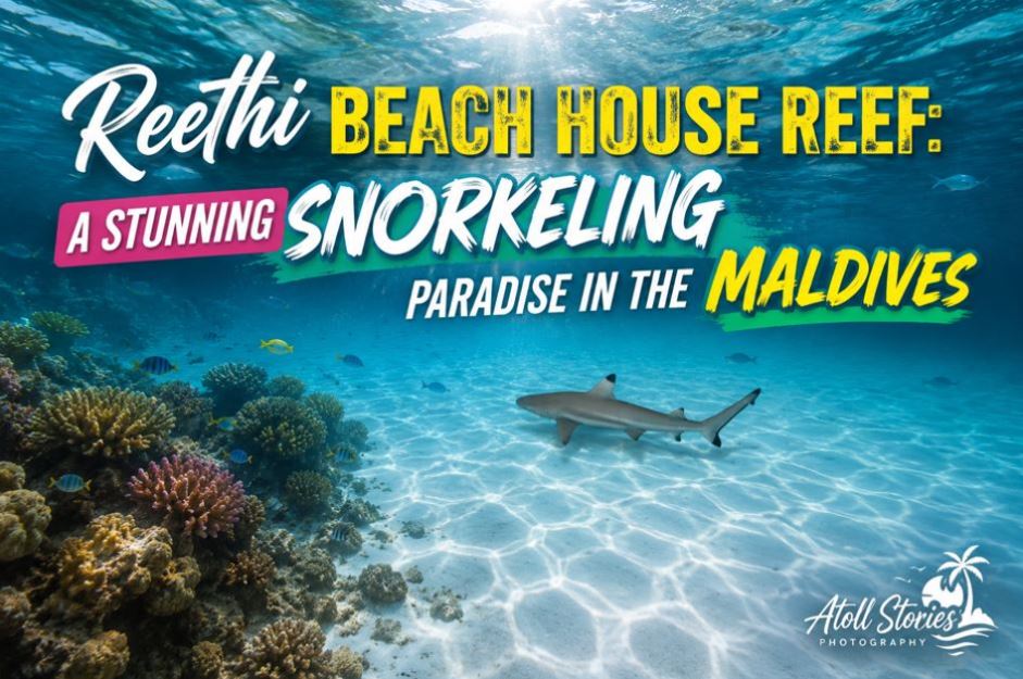 Reethi Beach House Reef: A Stunning Snorkeling Paradise in the Maldives