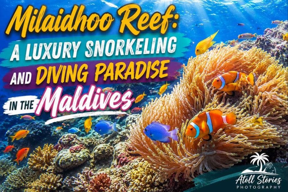 Milaidhoo Reef: A Luxury Snorkeling and Diving Paradise in the Maldives