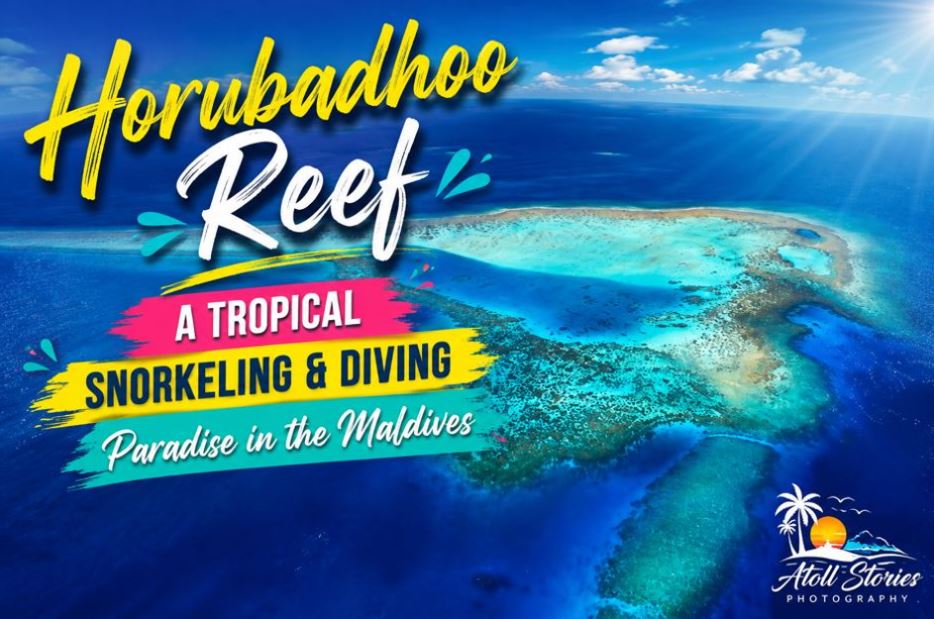 Horubadhoo Reef: A Tropical Snorkeling and Diving Paradise in the Maldives
