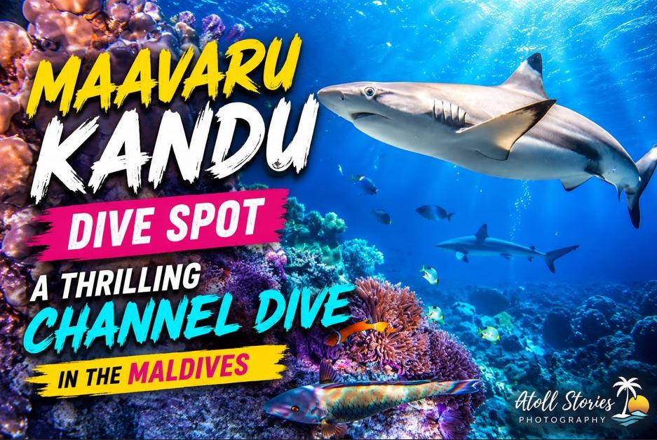 Maavaru Kandu Dive Spot: A Thrilling Channel Dive in the Maldives