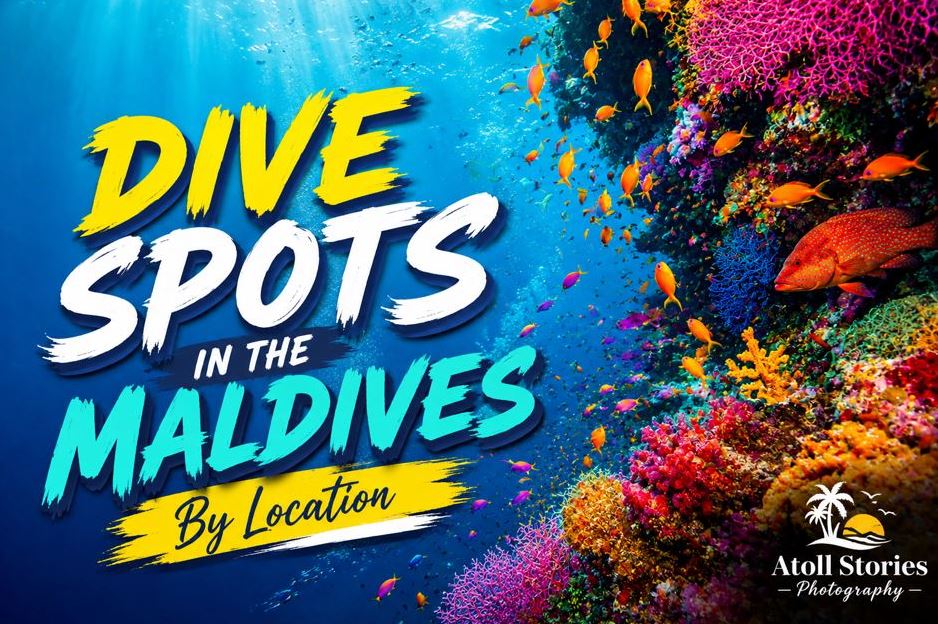 Dive Spots in the Maldives by Location