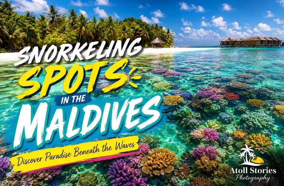 Snorkeling Spots in the Maldives by Location