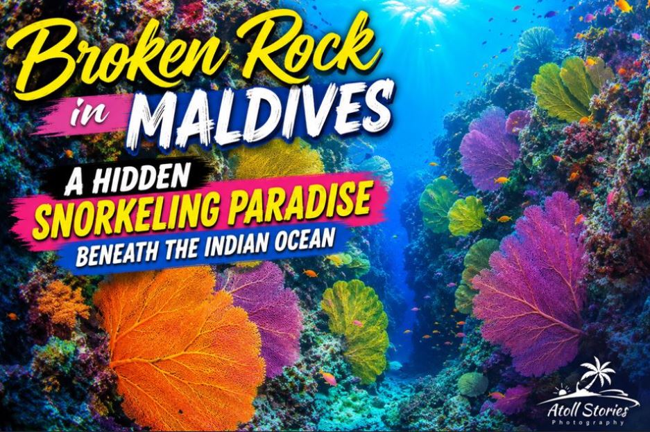 Broken Rock in the Maldives: A Hidden Snorkeling Paradise Beneath the Indian Ocean