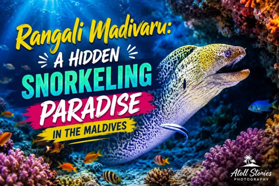 Rangali Madivaru: A Hidden Snorkeling Paradise in the Maldives