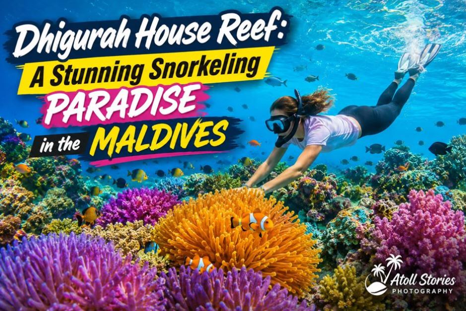 Dhigurah House Reef: A Stunning Snorkeling Paradise in the Maldives
