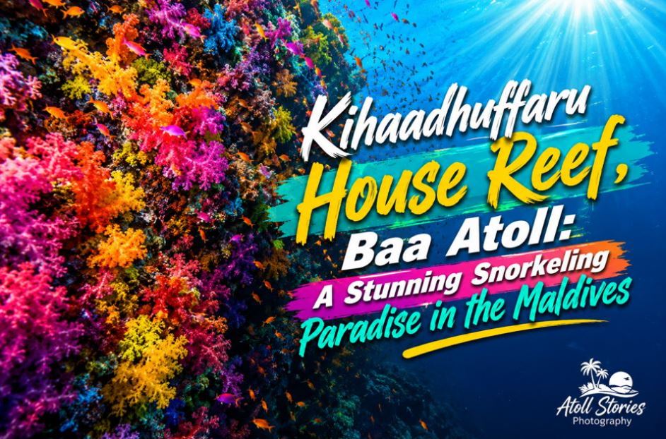 Kihaadhuffaru House Reef, Baa Atoll: A Stunning Snorkeling Paradise in the Maldives