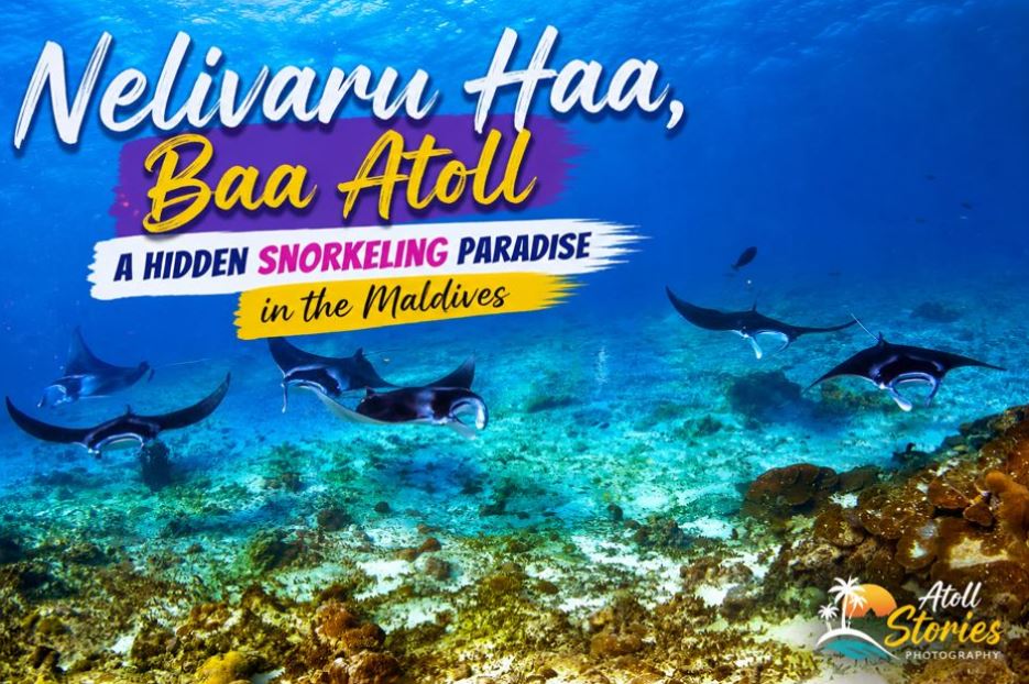 Nelivaru Haa, Baa Atoll: A Hidden Snorkeling Paradise in the Maldives
