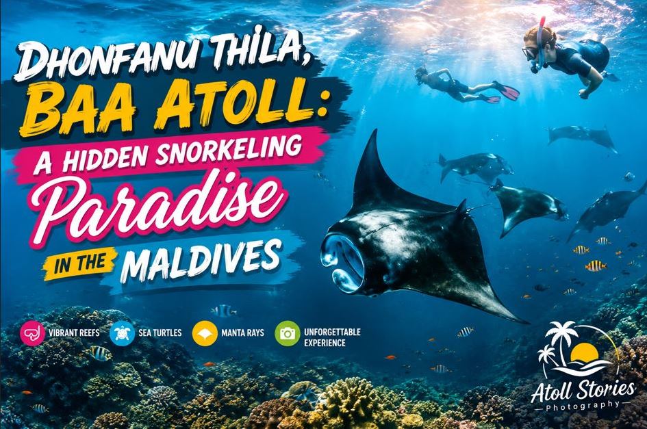 Dhonfanu Thila, Baa Atoll: A Hidden Snorkeling Paradise in the Maldives