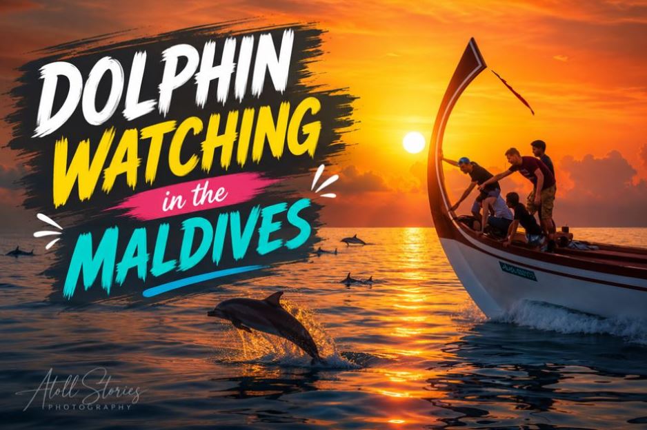 The Ultimate Guide to Dolphin Watching in the Maldives: Best Spots, Species, & Ethical Eco-Tours