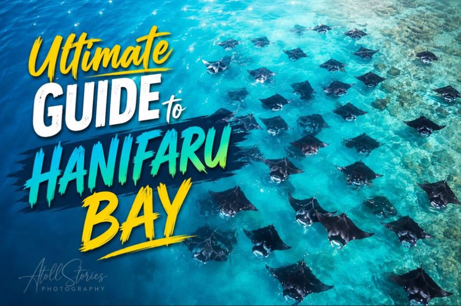 The Ultimate Guide to Hanifaru Bay, Maldives: Swim with Hundreds of Manta Rays
