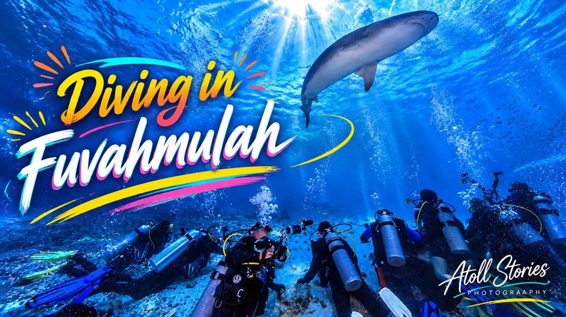 Ultimate Guide to Diving in Fuvahmulah: The Tiger Shark Capital of the Maldives