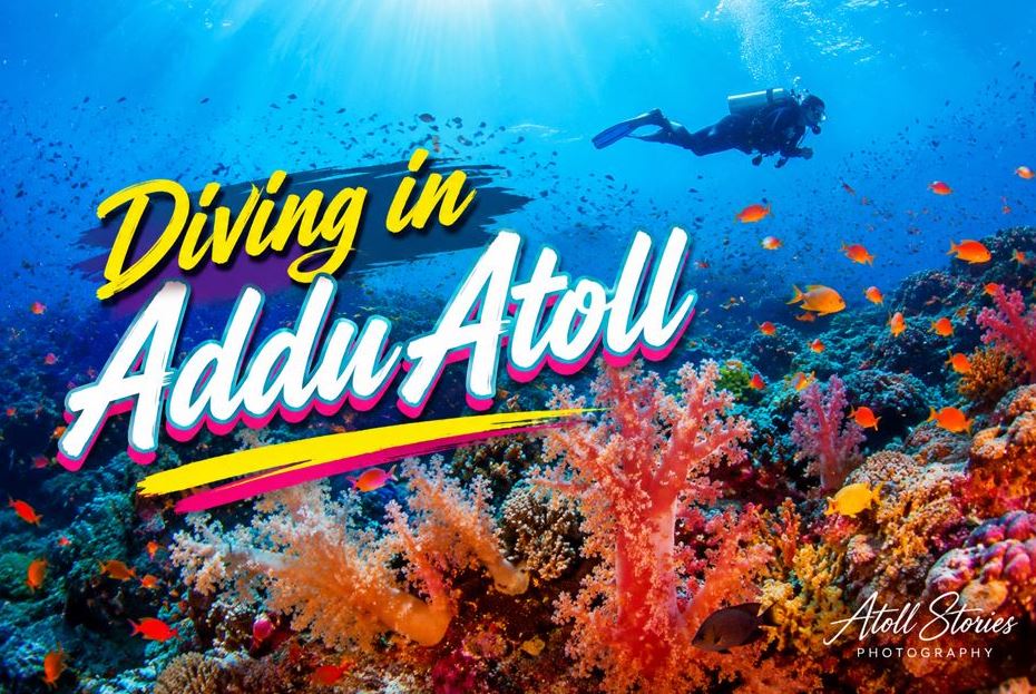 Diving in Addu Atoll, Maldives – The Ultimate Guide to the Southernmost Diving Paradise