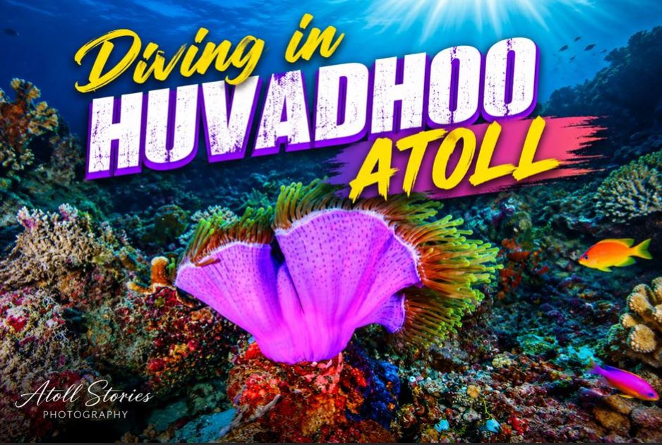 Diving in Huvadhoo Atoll