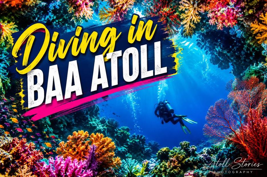 Diving in Baa Atoll: The Ultimate Maldives Underwater Adventure