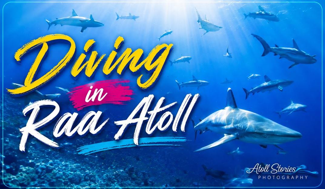 The Ultimate Guide to Diving in Raa Atoll, Maldives