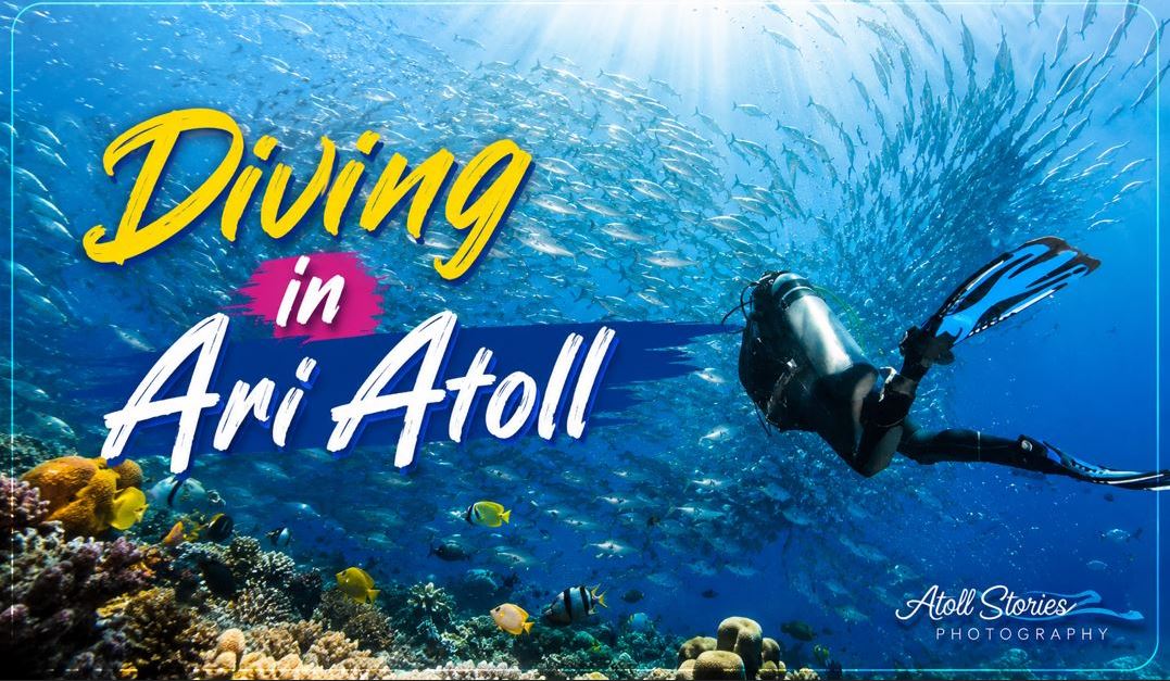 Diving in Ari Atoll, Maldives: The Ultimate Guide to Scuba Diving Paradise