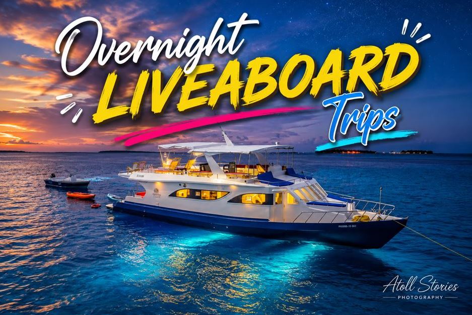 Overnight Liveaboard Trips – Stay on Boats While Exploring Multiple Atolls in the Maldives 🌊🚤