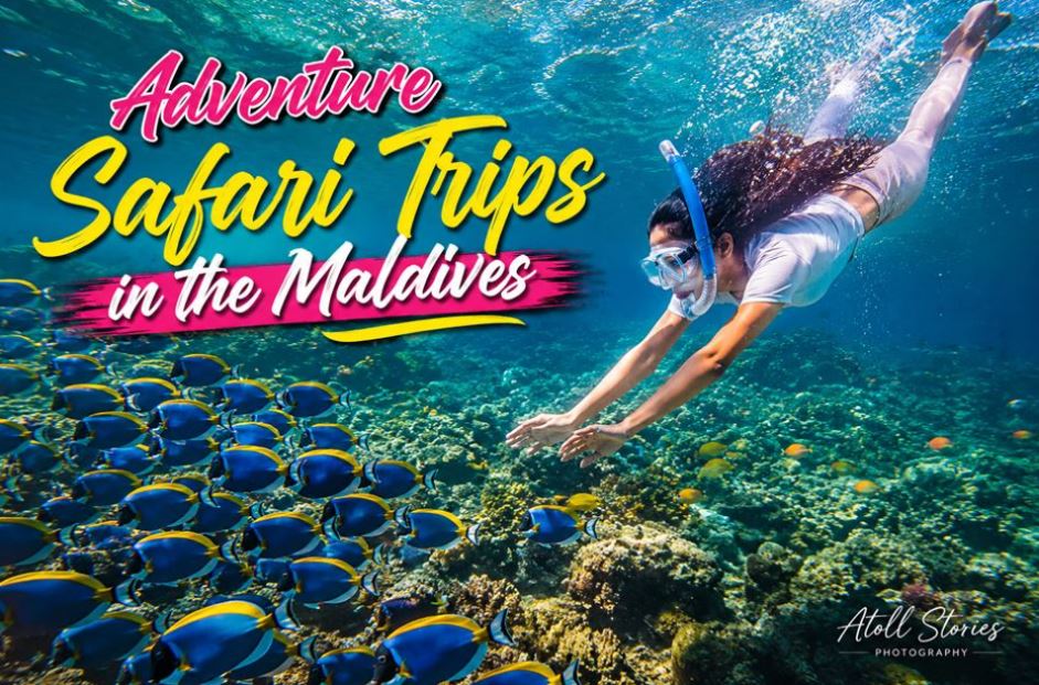 Adventure Safari Trips in the Maldives – Multi-Activity Ocean Expeditions You’ll Never Forget