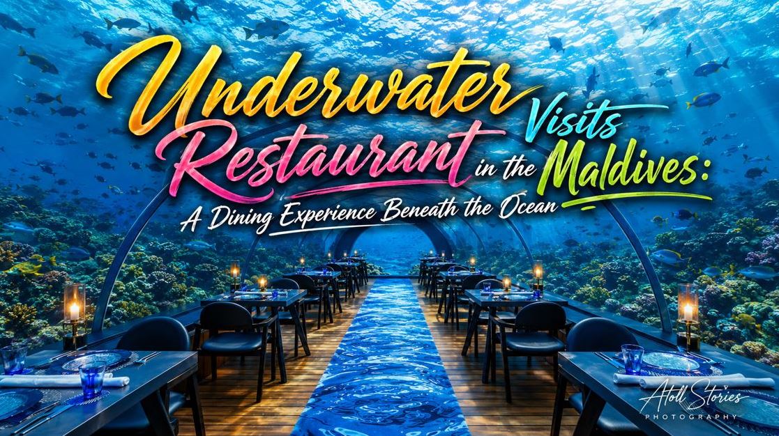 Underwater Restaurant Visits in the Maldives: A Dining Experience Beneath the Ocean