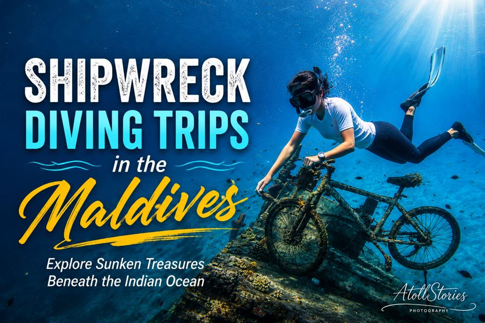 Shipwreck Diving Trips in the Maldives: Explore Sunken Treasures Beneath the Indian Ocean