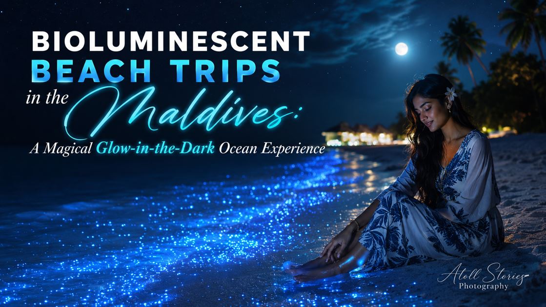 Bioluminescent Beach Trips in the Maldives: A Magical Glow-in-the-Dark Ocean Experience