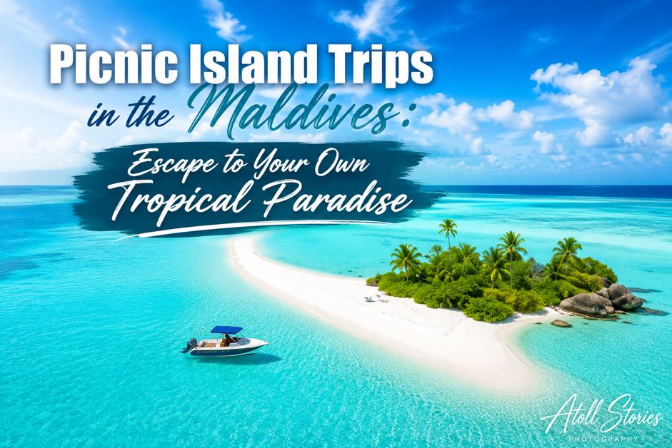Picnic Island Trips in the Maldives: Escape to Your Own Tropical Paradise