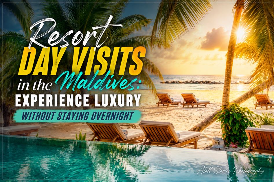Resort Day Visits in the Maldives: Experience Luxury Without Staying Overnight