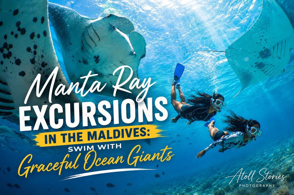 Manta Ray Excursions in the Maldives: Swim With Graceful Ocean Giants