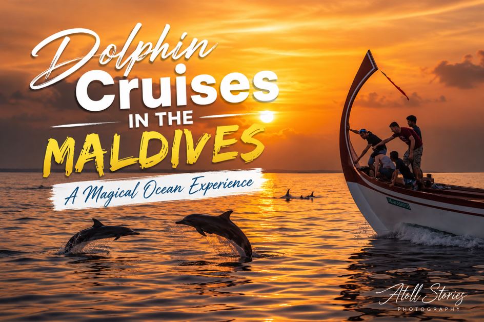 Dolphin Cruises in the Maldives: A Magical Ocean Experience