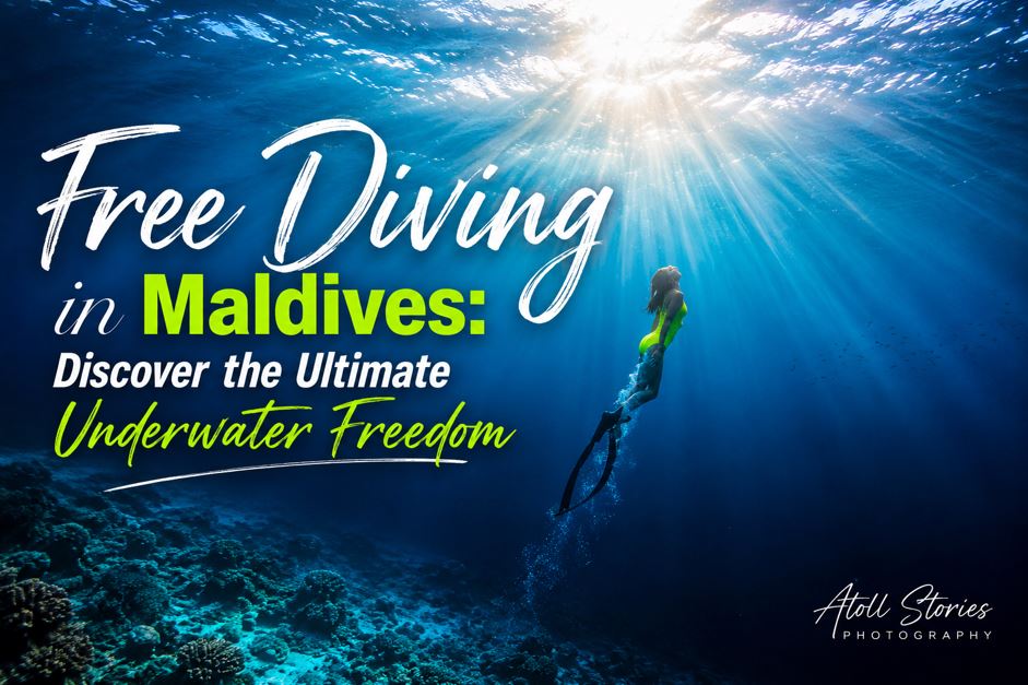 Free Diving in the Maldives: Discover the Ultimate Underwater Freedom