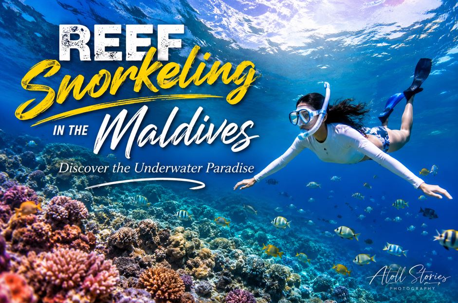 Reef Snorkeling in the Maldives: Discover the Underwater Paradise