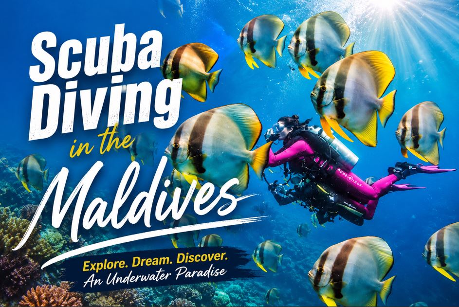 Scuba Diving in the Maldives: Complete Guide to an Unforgettable Underwater Adventure
