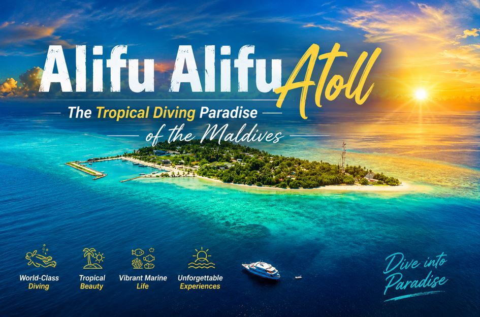 Alifu Alifu Atoll – The Tropical Diving Paradise of the Maldives