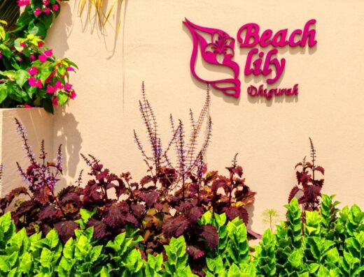 Beach Lily Dhigurah