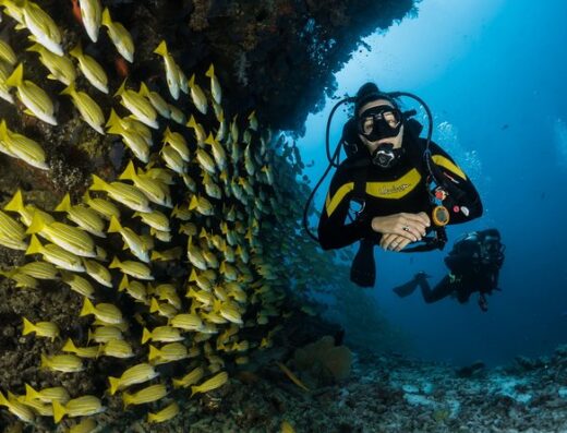 Maafushi Diving