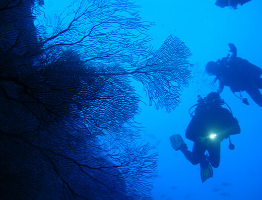 Addu City Diving Package at Asseyri Guest House