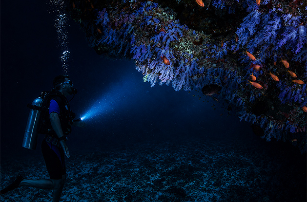 Is it Safe to Swim at Night in the Maldives? Everything You Need to Know
