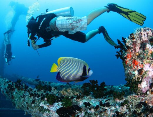 Maafushi Diving